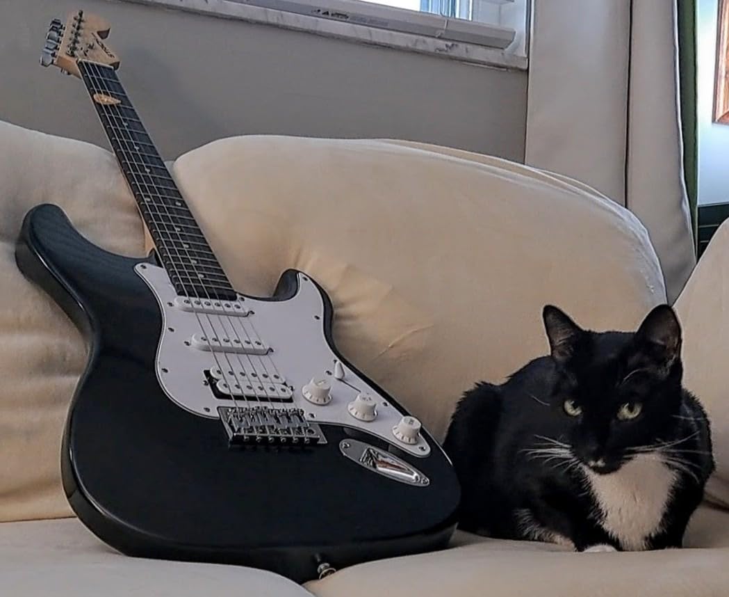 STRICH Electric Guitar Beginner Kit, Solid Body 39
