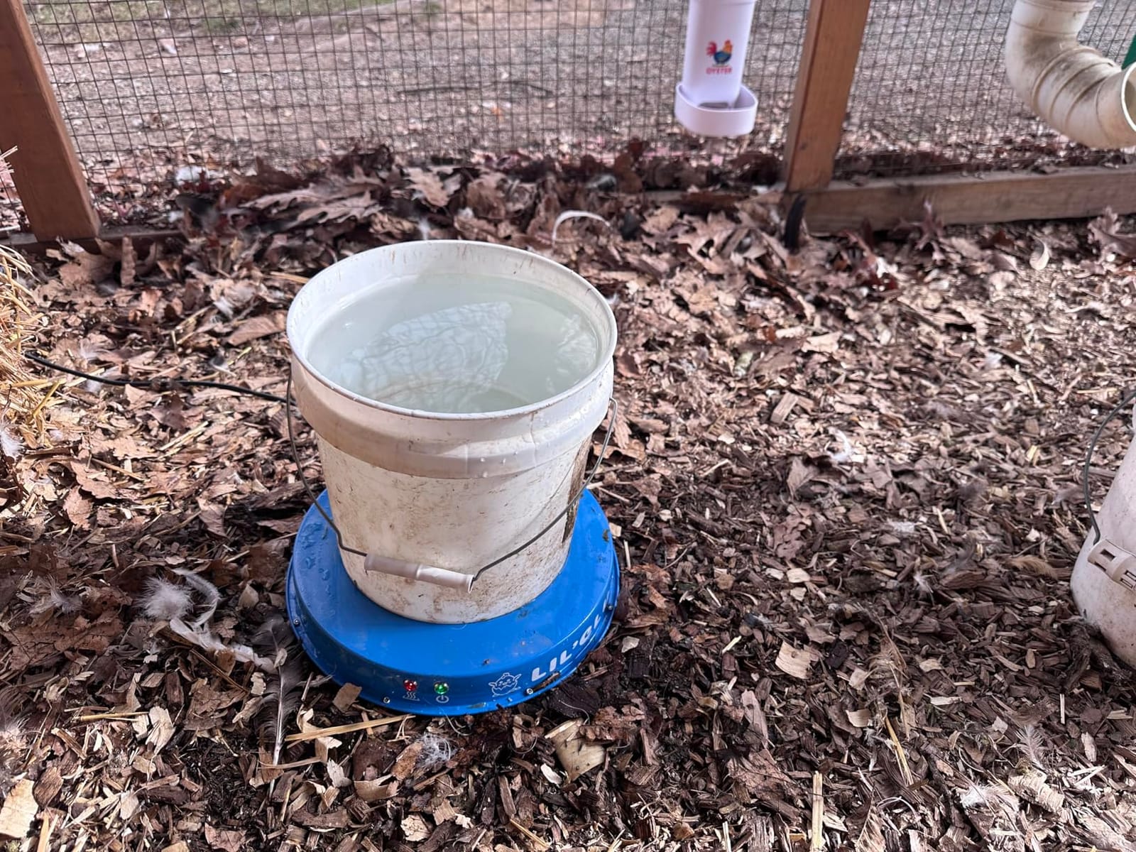 Lil'Clucker Heated Base for Chicken Waterer – Automatic Metal Freeze Proof Heated Chicken Waterer with Heater & LED – Poultry Heated Waterer for Winter (Blue, 11 Inch) customer photo 2