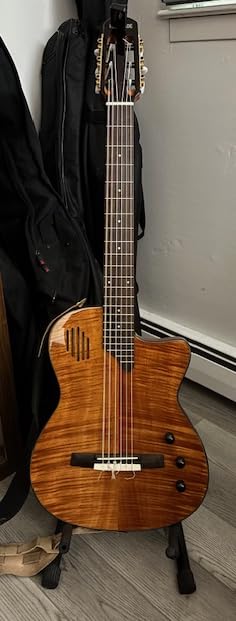 WishMade Acoustic Electric Classical Guitar Nylon String Hollow-Body NAT customer photo 2