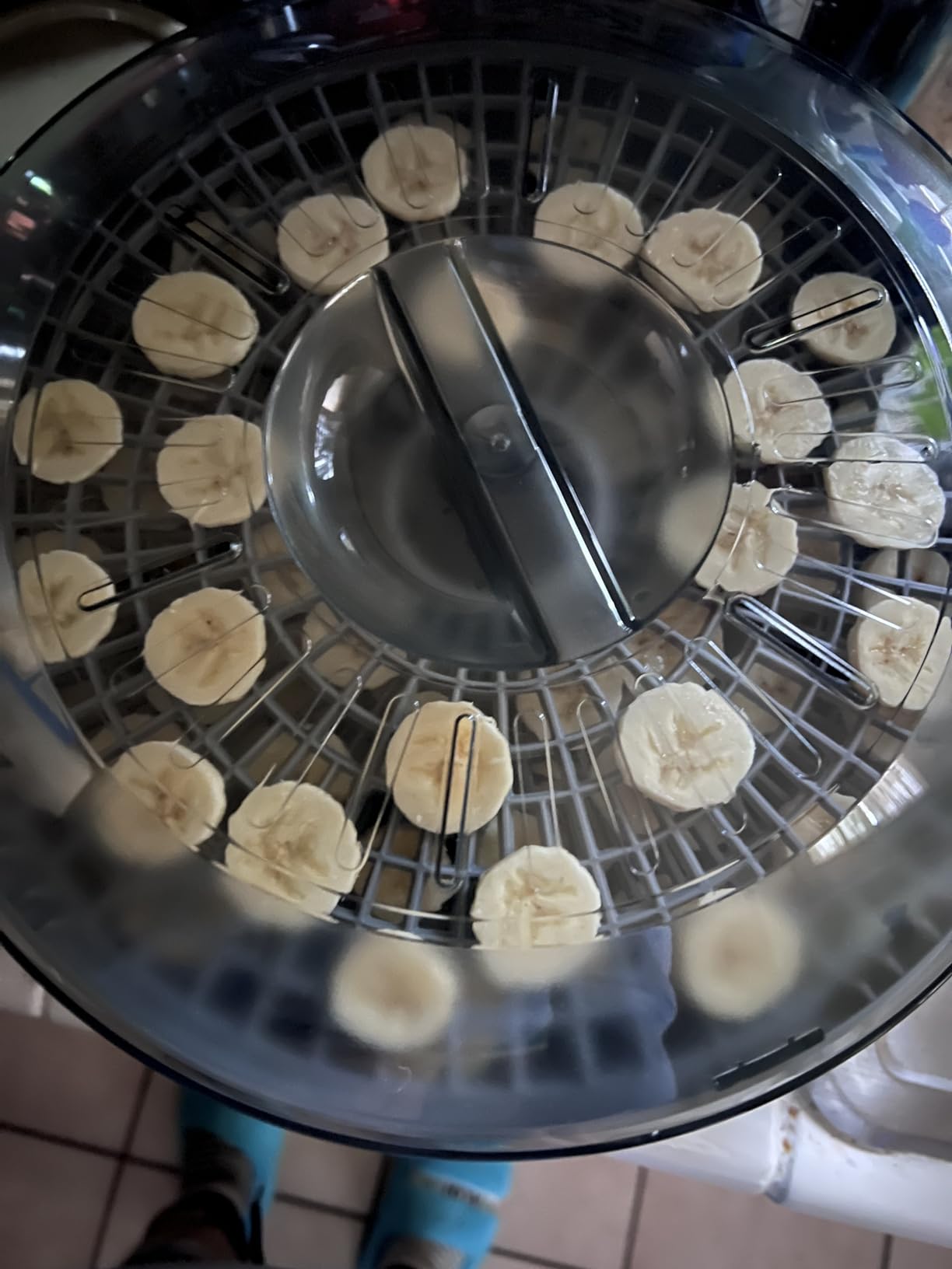 Elite Gourmet 5-Tray Digital Food Dehydrator, Stainless Steel, Keep Warm customer photo 1