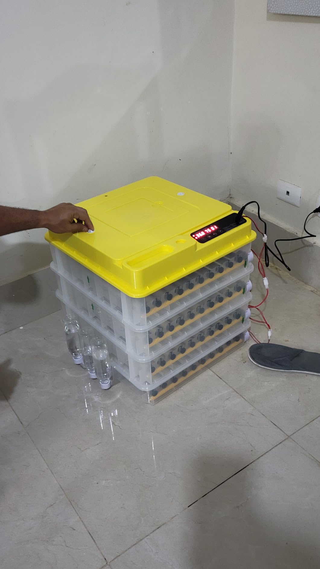 Egg Incubator - 2026 New Egg Incubator with Automatic Egg Turning and Humidity Control,Large Poultry Hatcher for Chickens Birds Ducks (288 Eggs) customer photo 2
