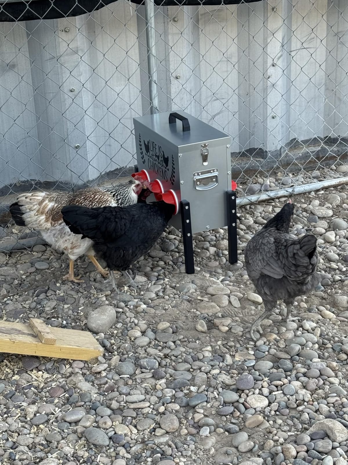 TGEYD 30 lb Metal Chicken Feeder, No-Waste Galvanized Feeder with 6 Feeding Ports, Adjustable Legs, Feed Level Window & Rainproof Roof Lid for Chickens, Ducks & Geese customer photo 2