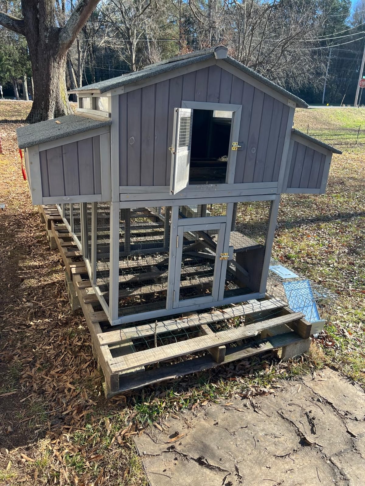 Aivituvin Extra Large Chicken Coop 137