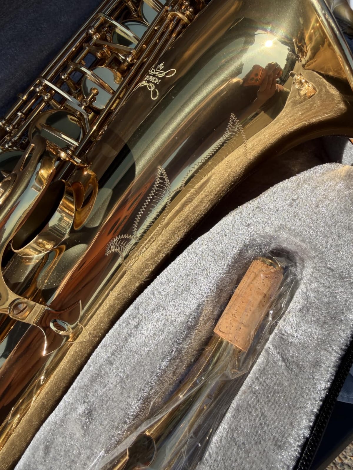STRICH Bb Tenor Saxophone for Student Beginner, Brass Tenor Sax Kit with Hard Case Stand Neck Strap Mouthpiece and Reeds for Band School, STS-130G, Gold customer photo 1