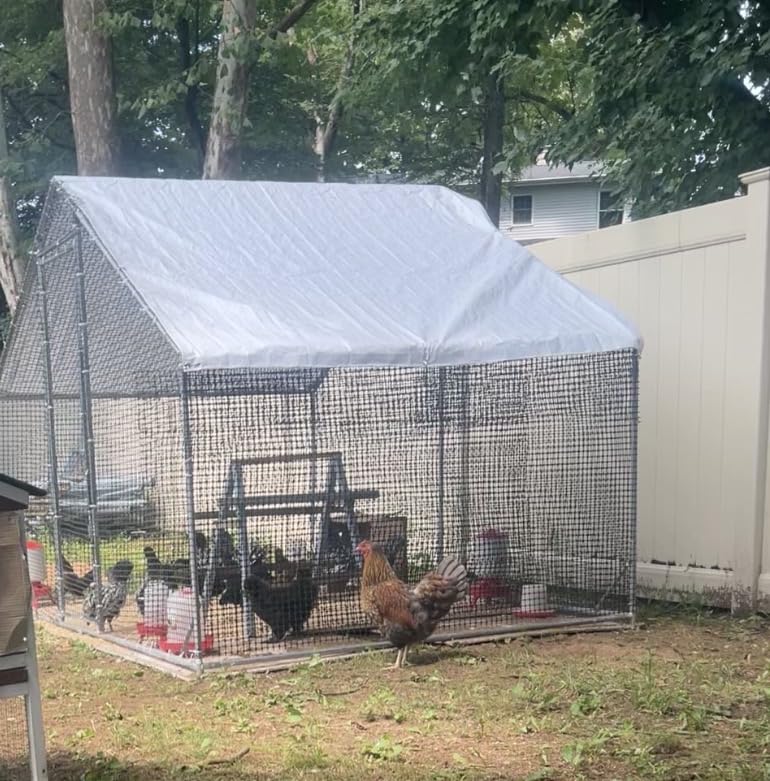Large Walk-in Chicken Coop with Chicken Run, Galvanized Poultry Enclosure with Waterproof Anti-UV Cover and Security Lock, Ideal for Rabbit, Duck, Backyard and Farm Yard, 19.7'x 9.8'x 6.6' customer photo 1