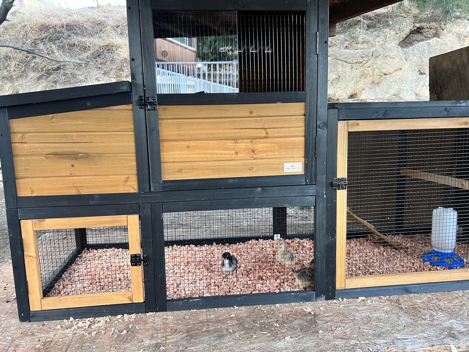 Petsfit Outdoor Chicken Coop with Run for 4-6 Chickens, 3 Nesting Boxes customer photo 1