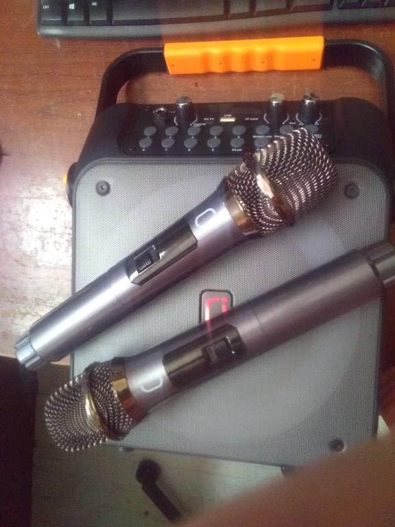 HWWR Karaoke Machine with 2 Mics for Adults & Kids, All-in-One Karaoke Set customer photo 2