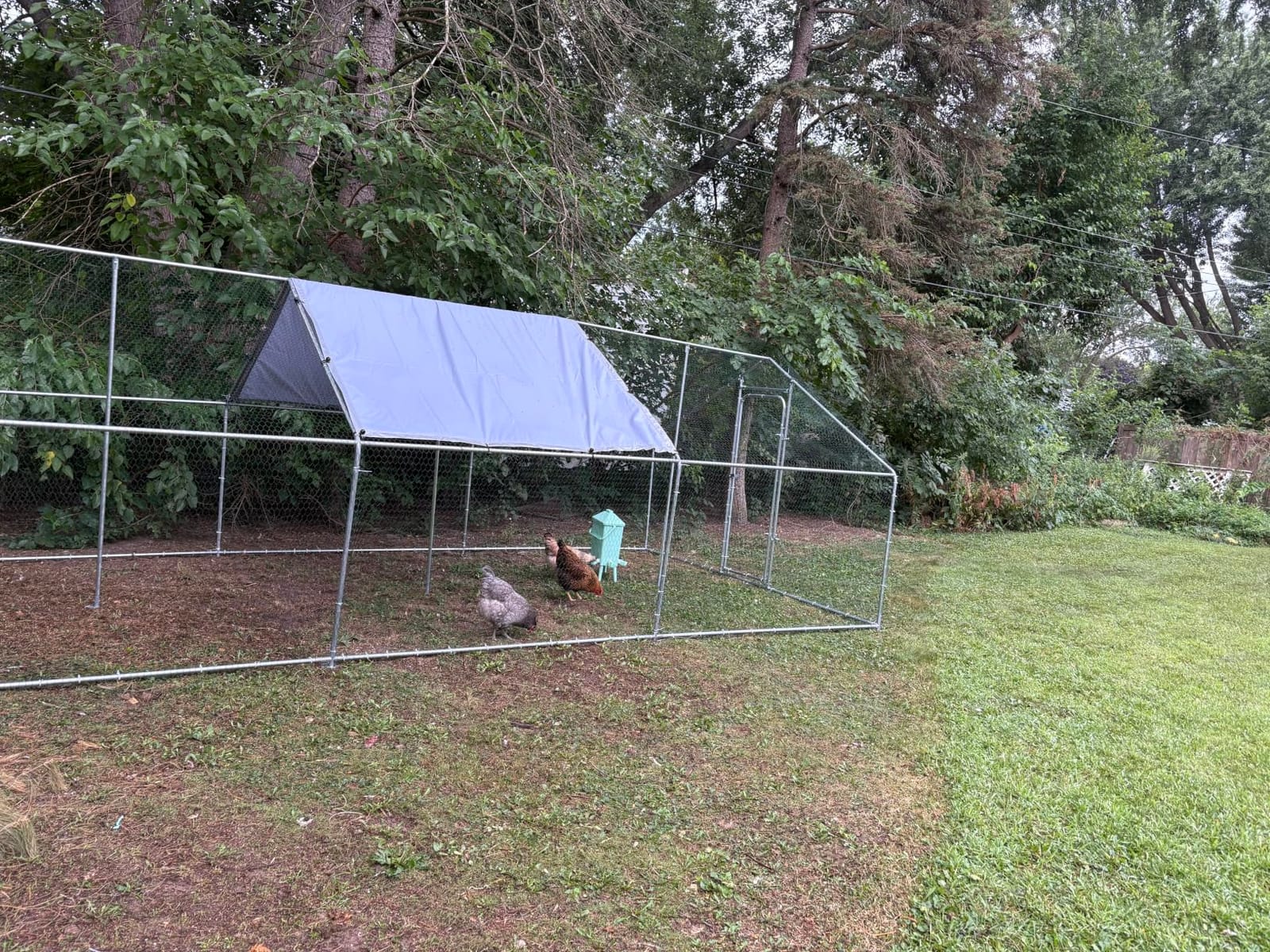 9.9x13.2 FT Metal Chicken Coop, Walk-in Poultry Run Enclosure customer photo 2