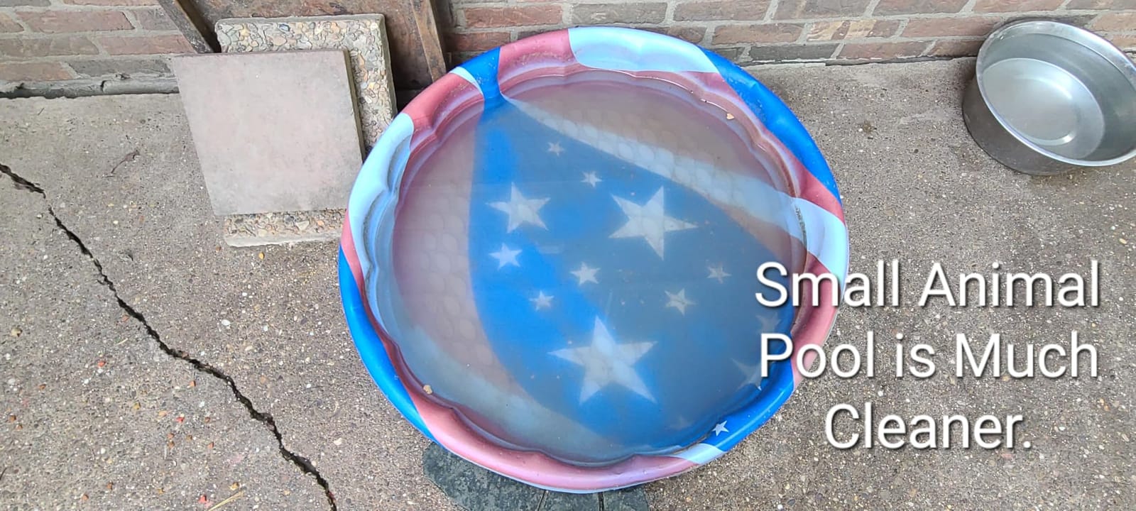 S2 Pool Vacuum Robot for Above Ground Pools, 90-Min Runtime, 861 Sq.Ft Coverage, Cordless Operation, Efficient Cleaning Performance, Dual-Layer Filtration, Panda Black customer photo 2