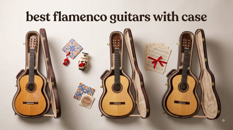 best flamenco guitars with case