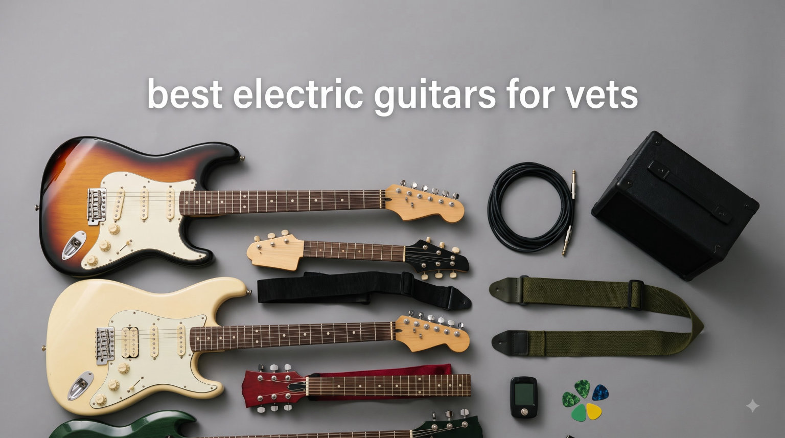 best electric guitars for vets