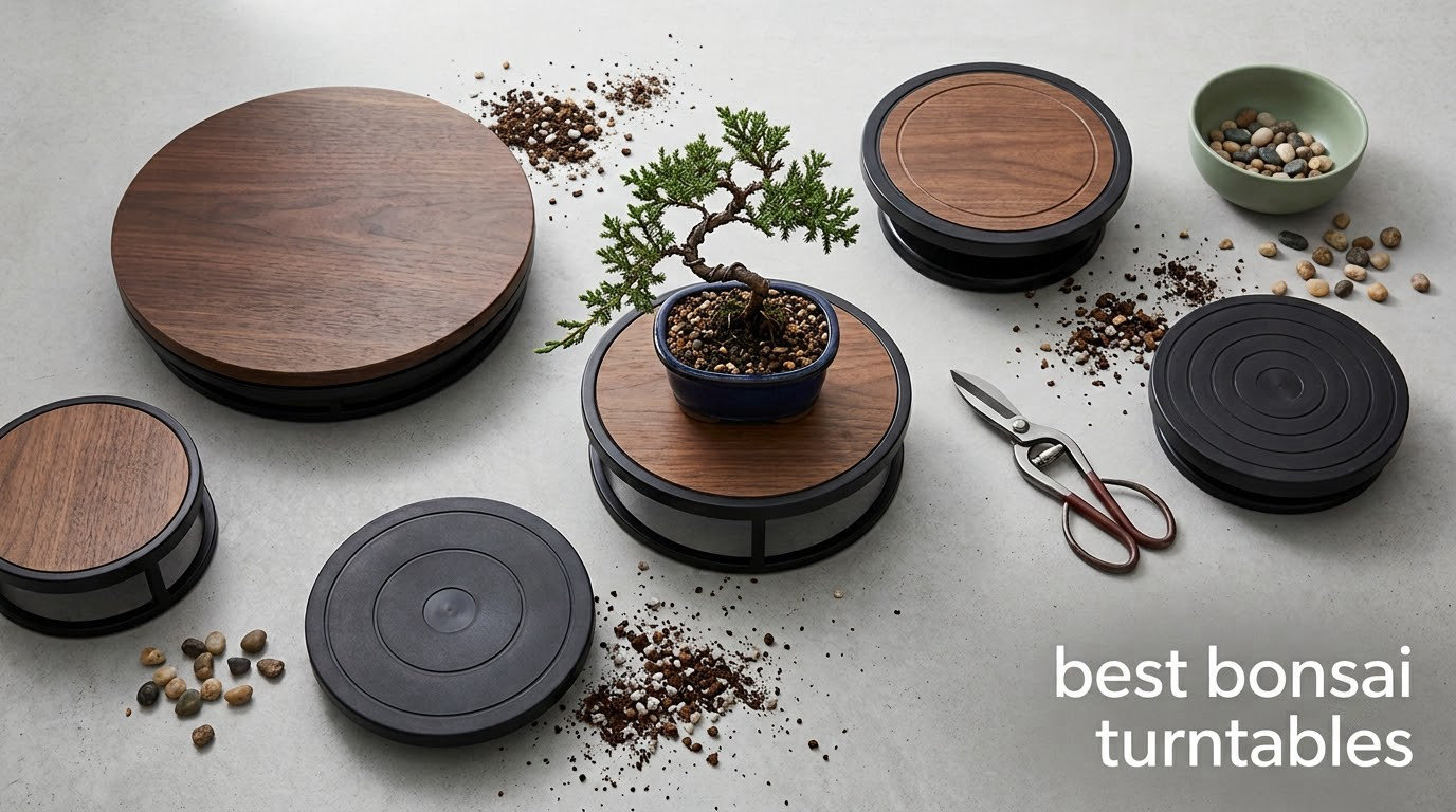 best bonsai turntables