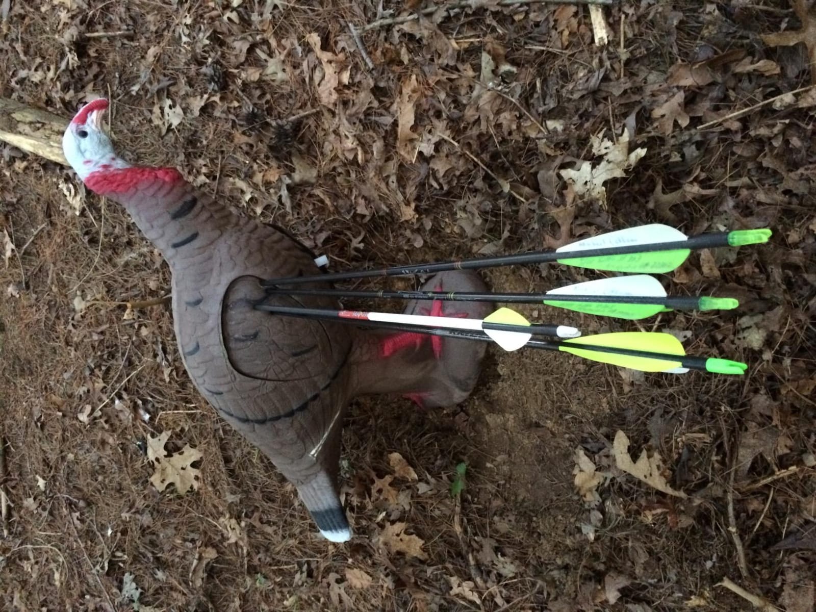 Rinehart Signature Tom Turkey 3D Archery Target, Replaceable Vital Insert customer photo 2