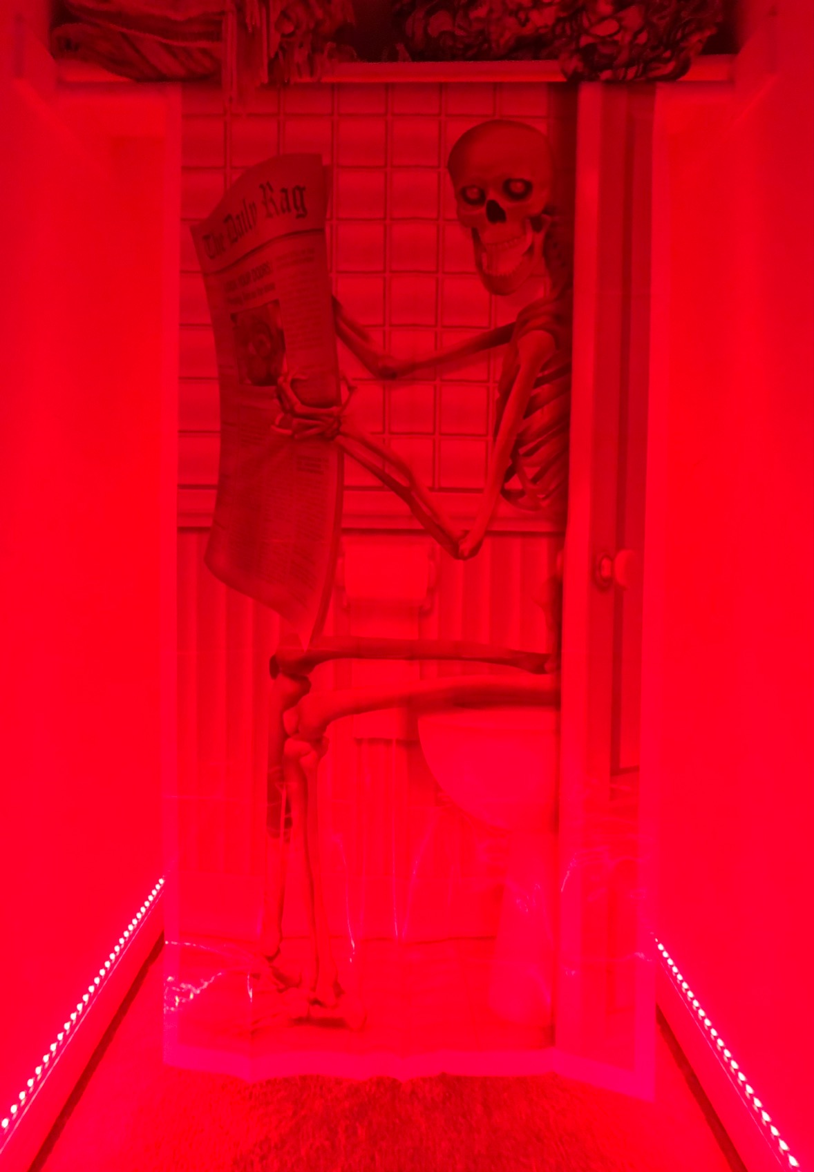 Beistle Skeleton Restroom Door Cover Halloween Decoration, 5 Ft x 30 in customer photo 2