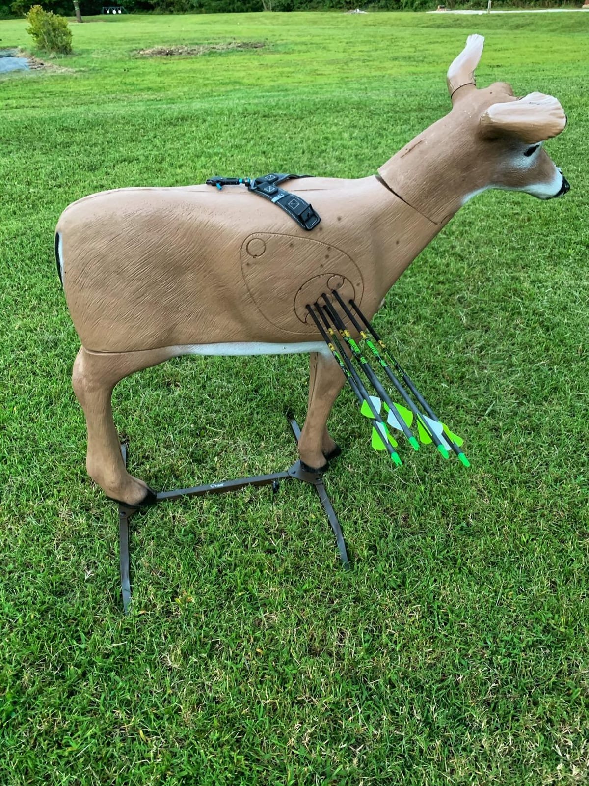 HMEHunting Made Easy HME-3DTS 3D Target Stand customer photo 1