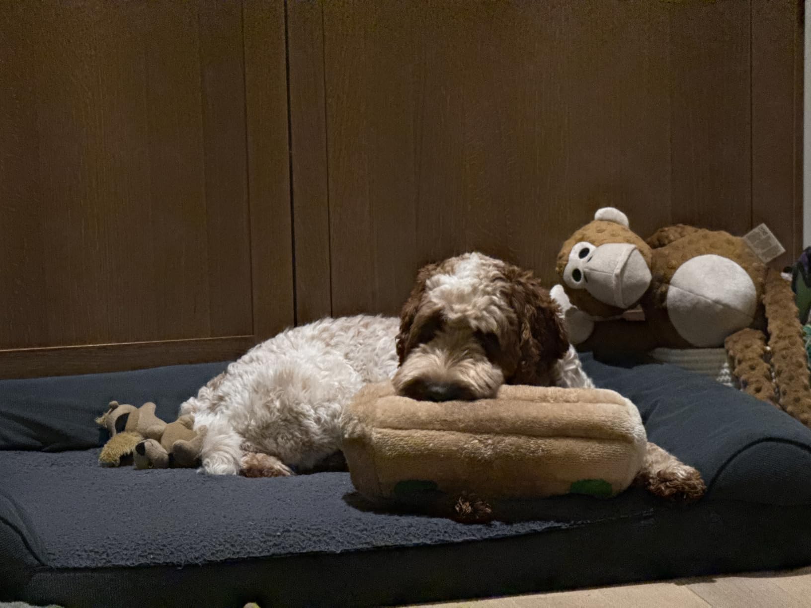 Outward Hound Hide-A-Squirrel customer photo 1