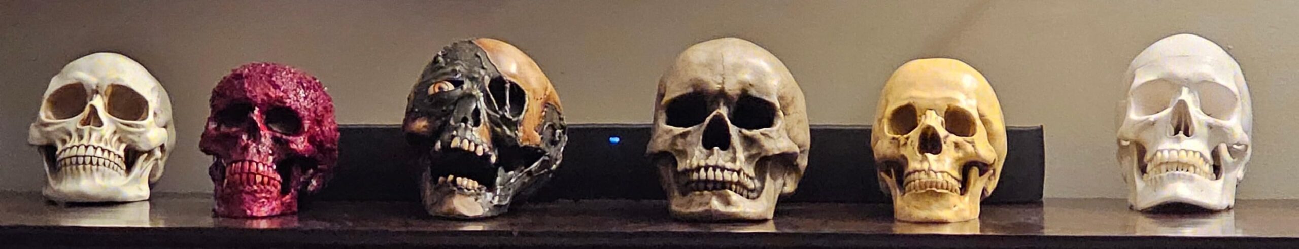 READAEER Halloween Skull Head, Life Size Resin Skull, Large Size Adult Skull Head Model for Home Decoration, Halloween Skull Statue, Human Skull Head Model (White) customer photo 1