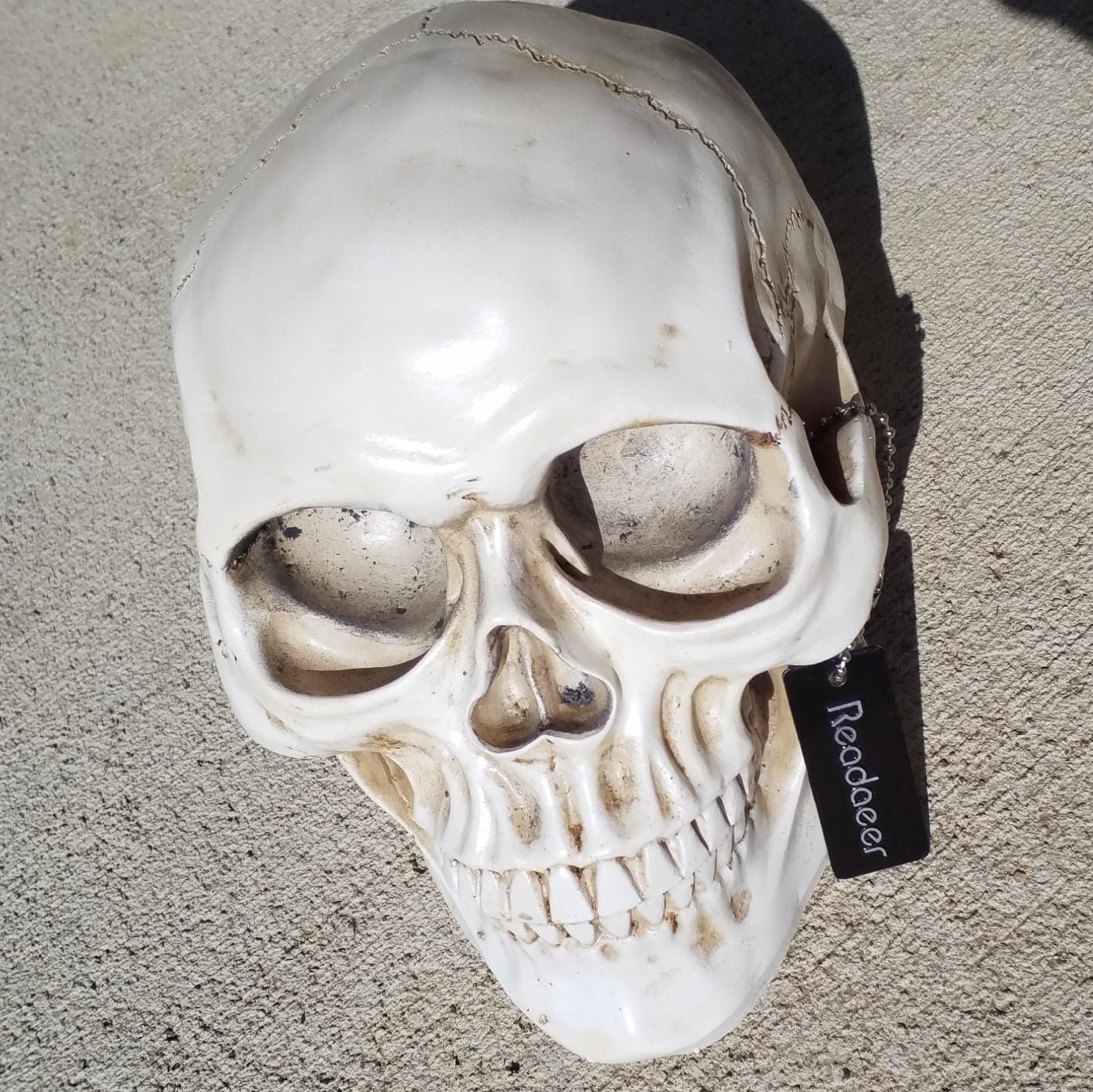 READAEER Halloween Skull Head, Life Size Resin Skull, Large Size Adult Skull Head Model for Home Decoration, Halloween Skull Statue, Human Skull Head Model (White) customer photo 2