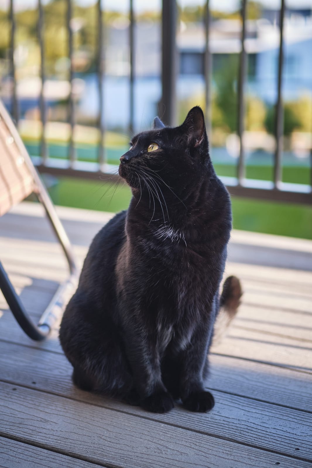 Fujifilm XF50mmF2 R WR Lens - Black customer photo 2