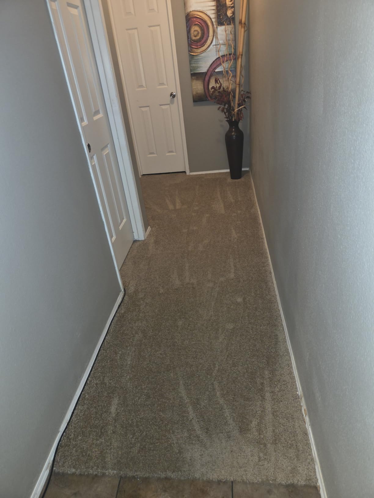 Hoover PowerDash Pet Compact Carpet Cleaner Machine, Lightweight Design customer photo 2