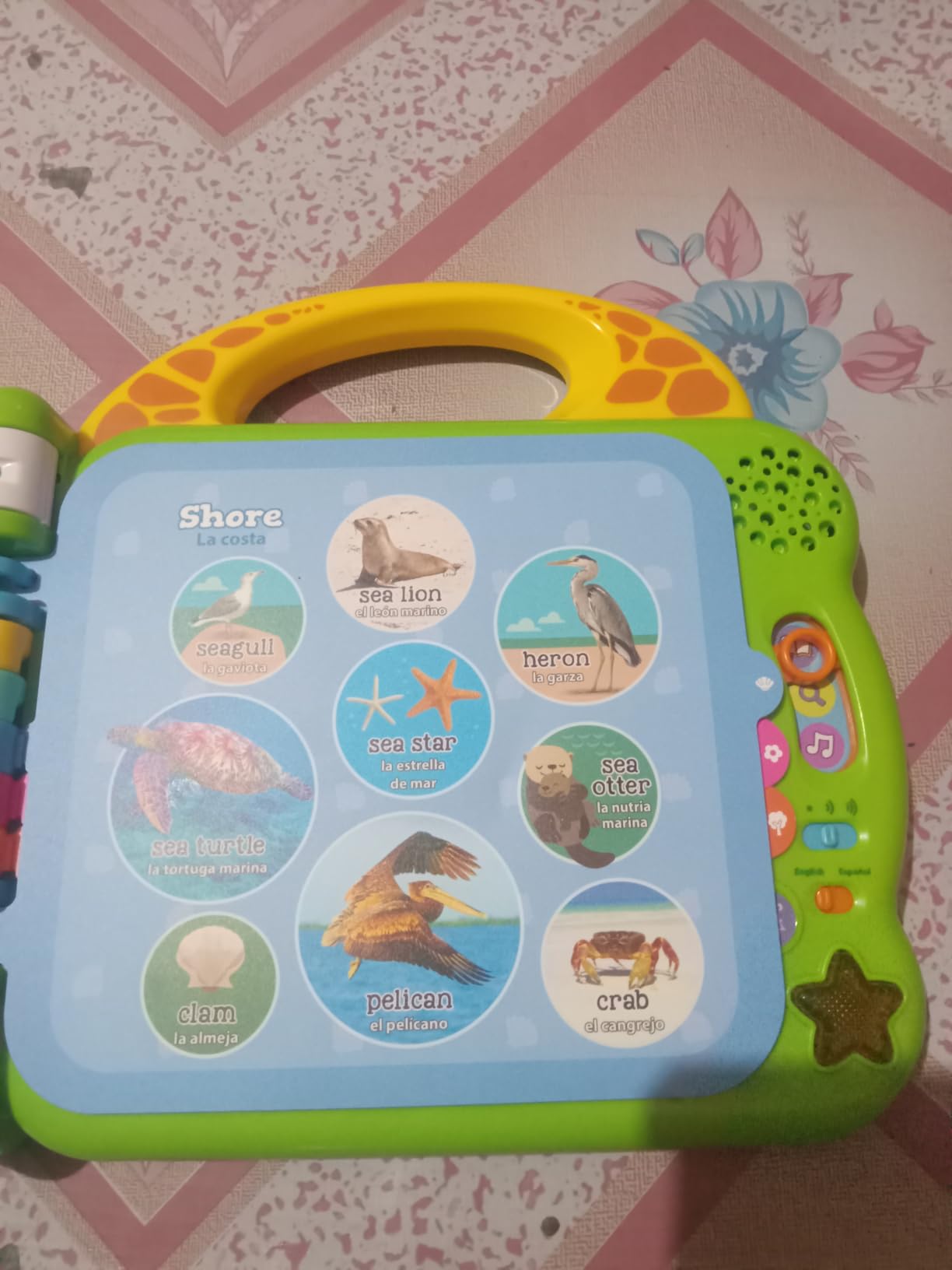LeapFrog Learning Friends customer photo 2