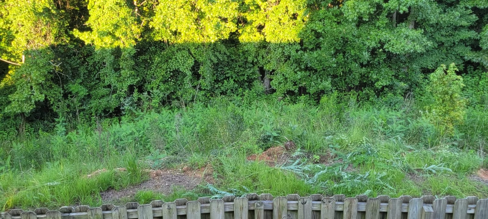 Greenworks 80V 16 in Cordless String Trimmer, 2.0 Ah Battery customer photo 1