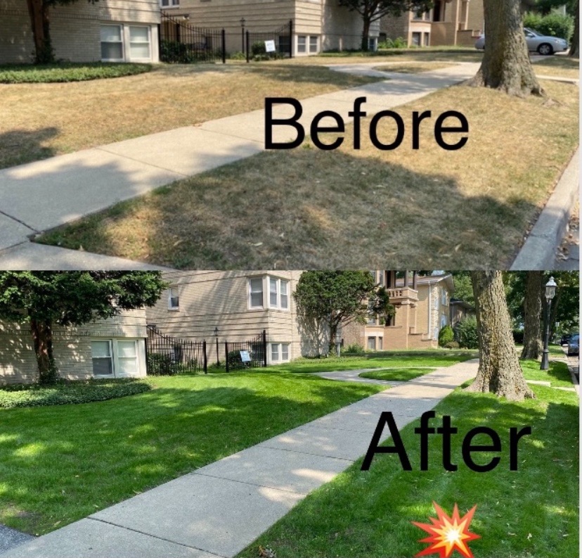 Liquid Lawn Aerator, Loosens and Conditions Compacted Soil, 32oz customer photo 2