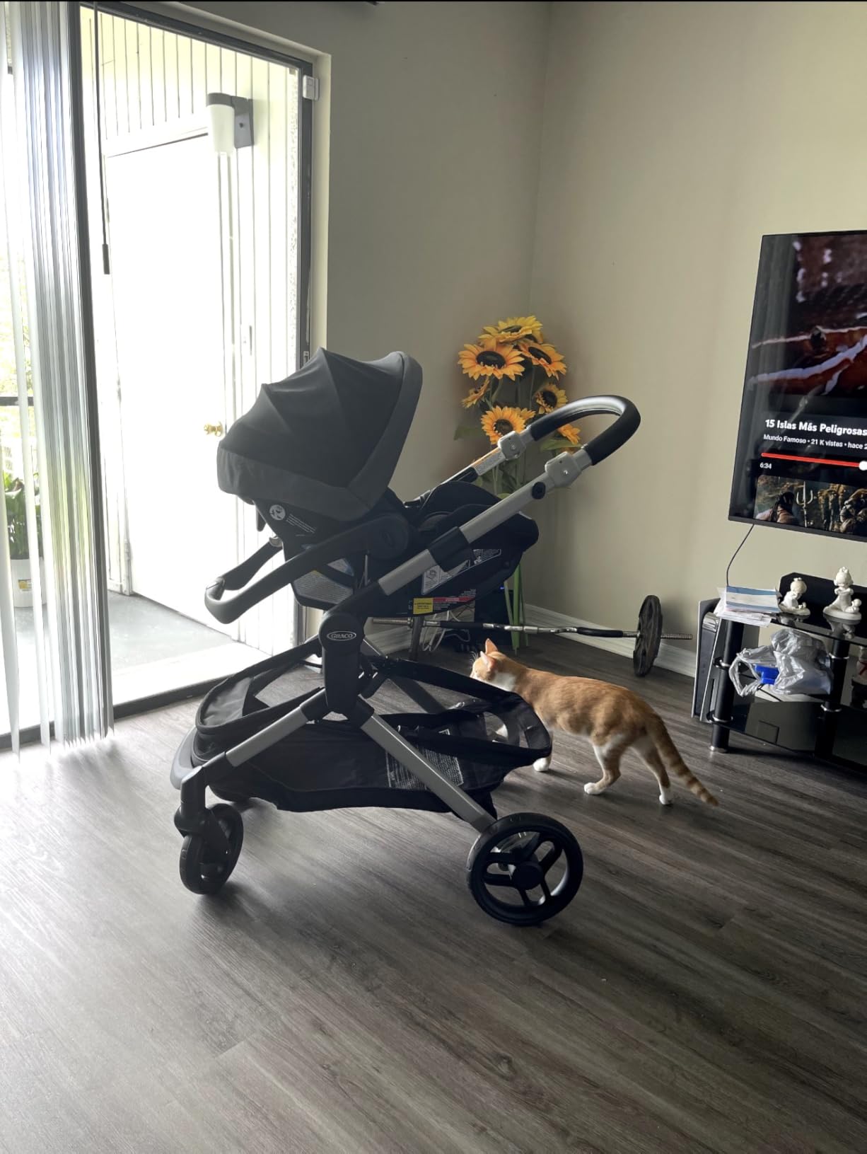 Graco Modes Nest 3-in-1 Travel System (Stroller & Car Seat), Bayfield customer photo 2