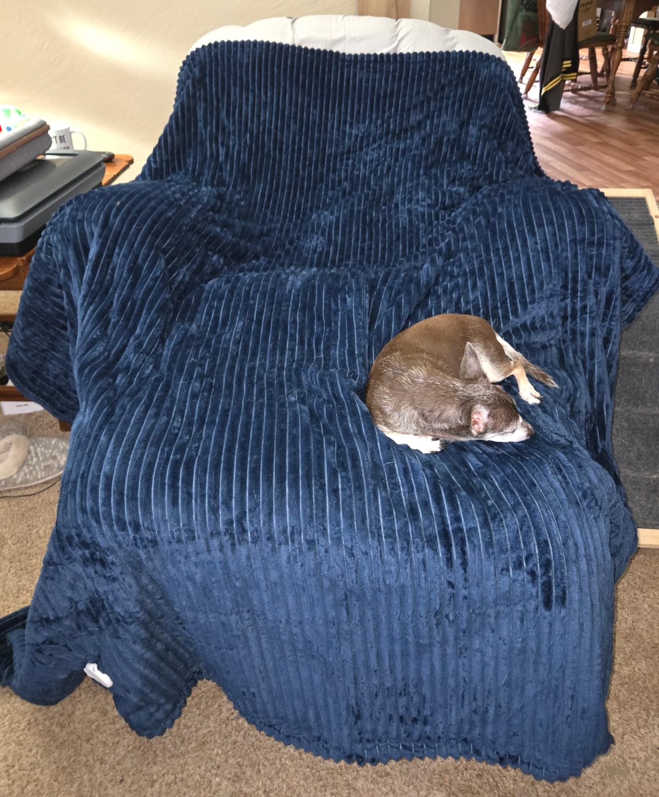 Tefici Flannel Heated Throw customer photo 1