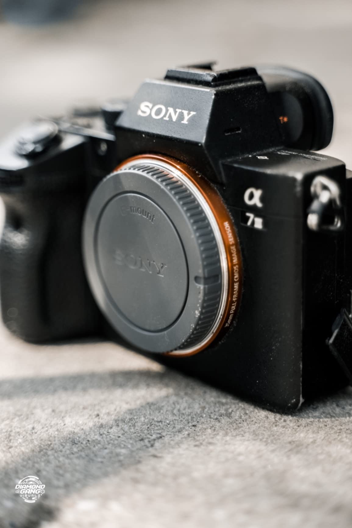 Sony Alpha a7S III Full-Frame Mirrorless Camera Body Black customer photo 2