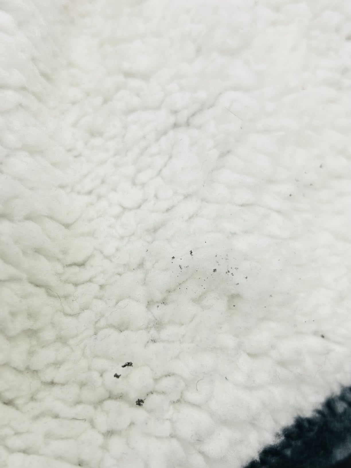 Westinghouse Sherpa Heated Throw customer photo 1