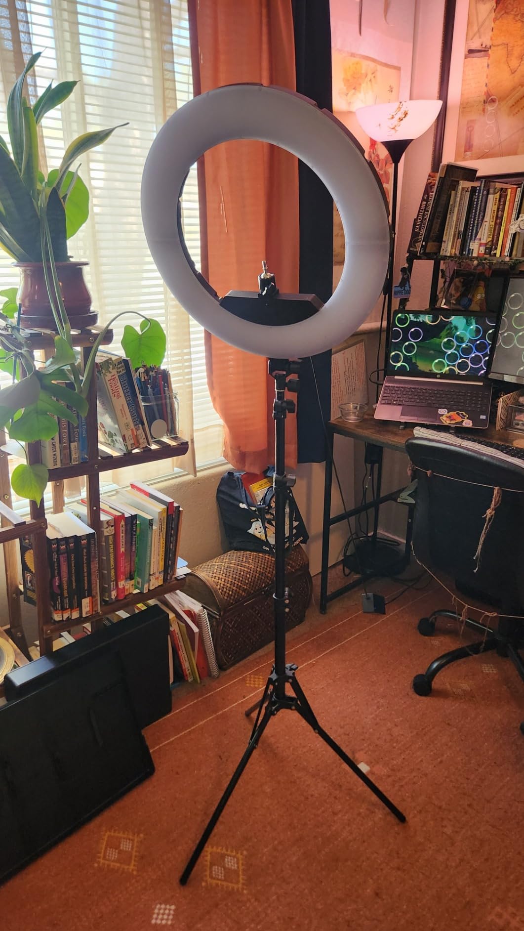 Ring Light 18 INCH Kit,55W6700k Dimmable LED Light, Tripod Stand, Remote Controller,Box for Camera,Smartphone,YouTube,TikTok,Self-Portrait Shooting,CRI95 (Black) customer photo 1
