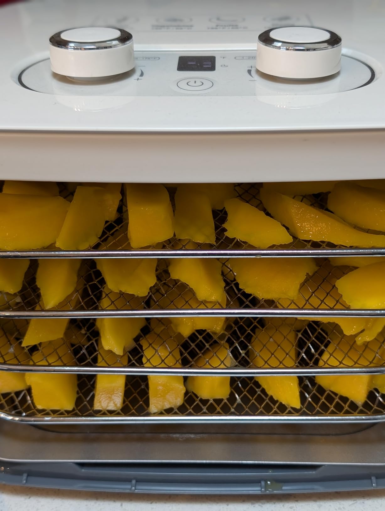 NESCO FD‑41B Snackmaster Food Dehydrator for Easy Home Snacks, Simple Blue Countertop Dehydrator with 4 Trays customer photo 2