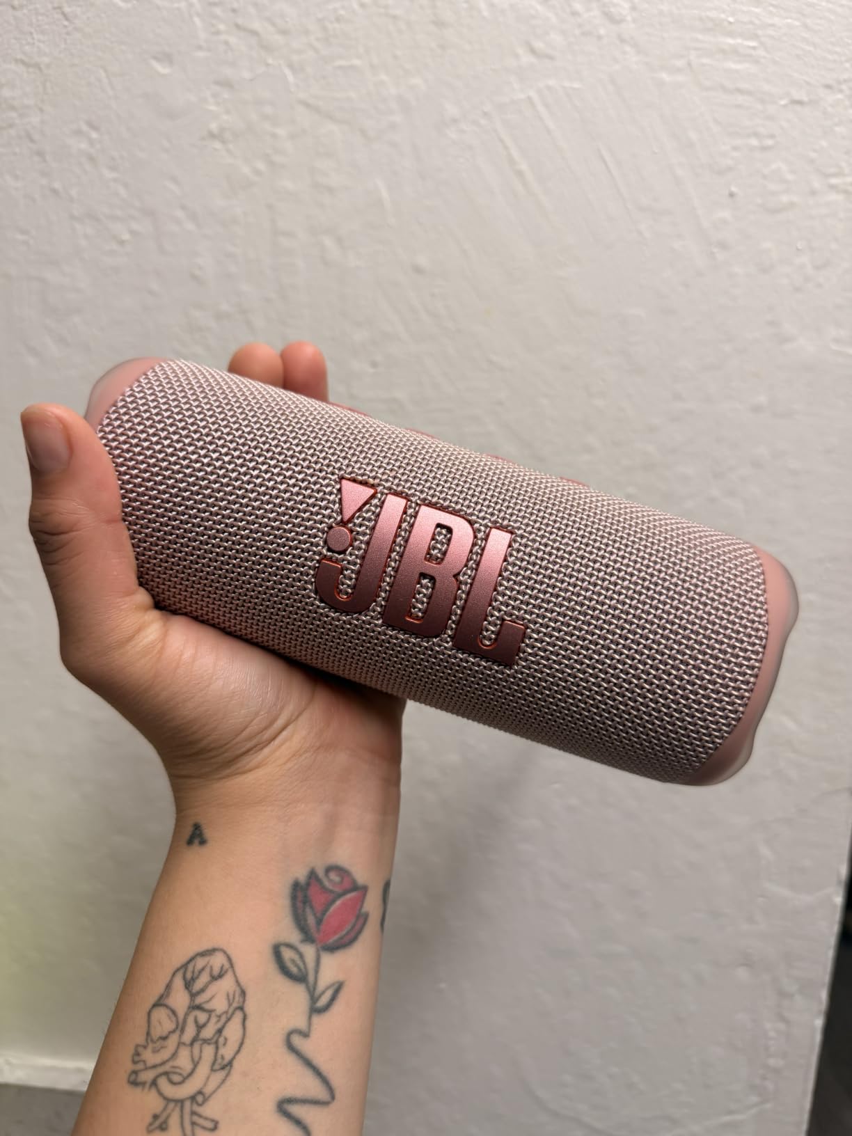 JBL Flip 6 customer photo 2