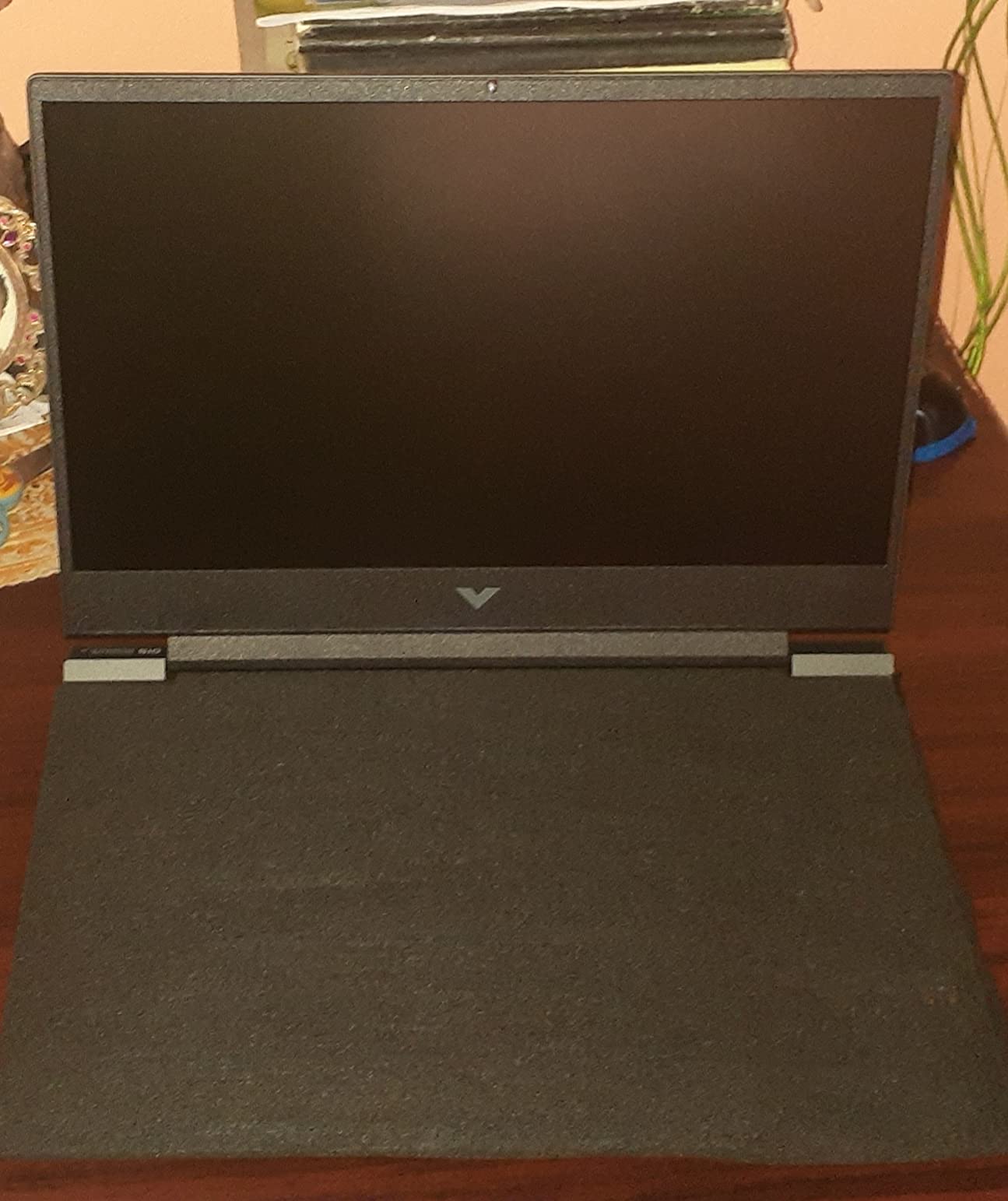 HP Victus 15 customer photo 1