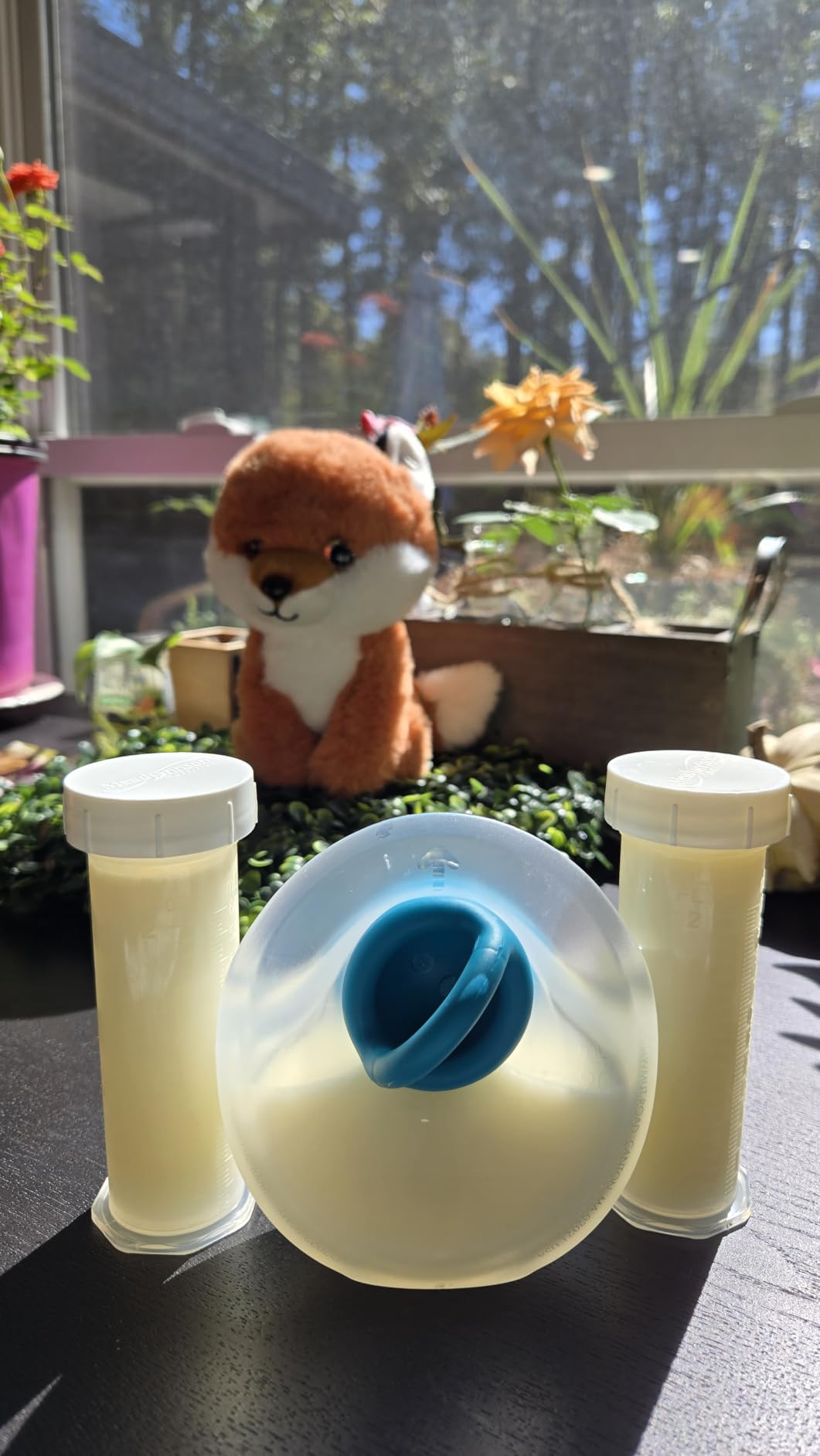 Boon Trove Silicone Manual Breast Pump with Plug - 1 Count customer photo 1
