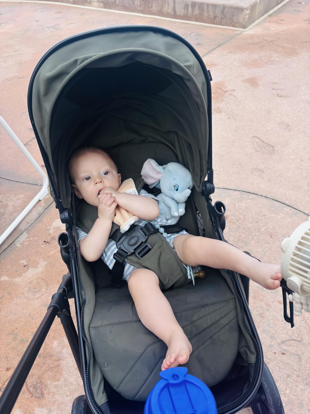 Mompush Wiz 2-in-1 Bassinet Stroller Reversible Seat, One-Hand Fold, Forest customer photo 1