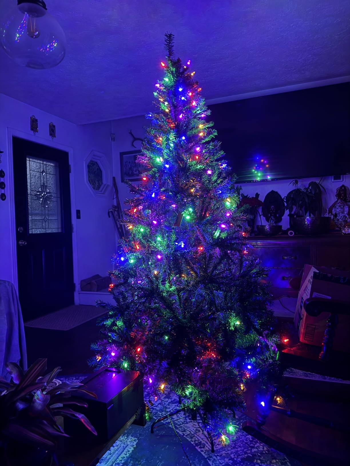 Best Choice Products 6Ft Pre-Lit Christmas Tree w/Twinkling LEDs, Premium Green Artificial Pine Lighted Holiday Decoration w/ 250 Lights, 1000 Branch Tips, Metal Base - Multi-Color Lights customer photo 2