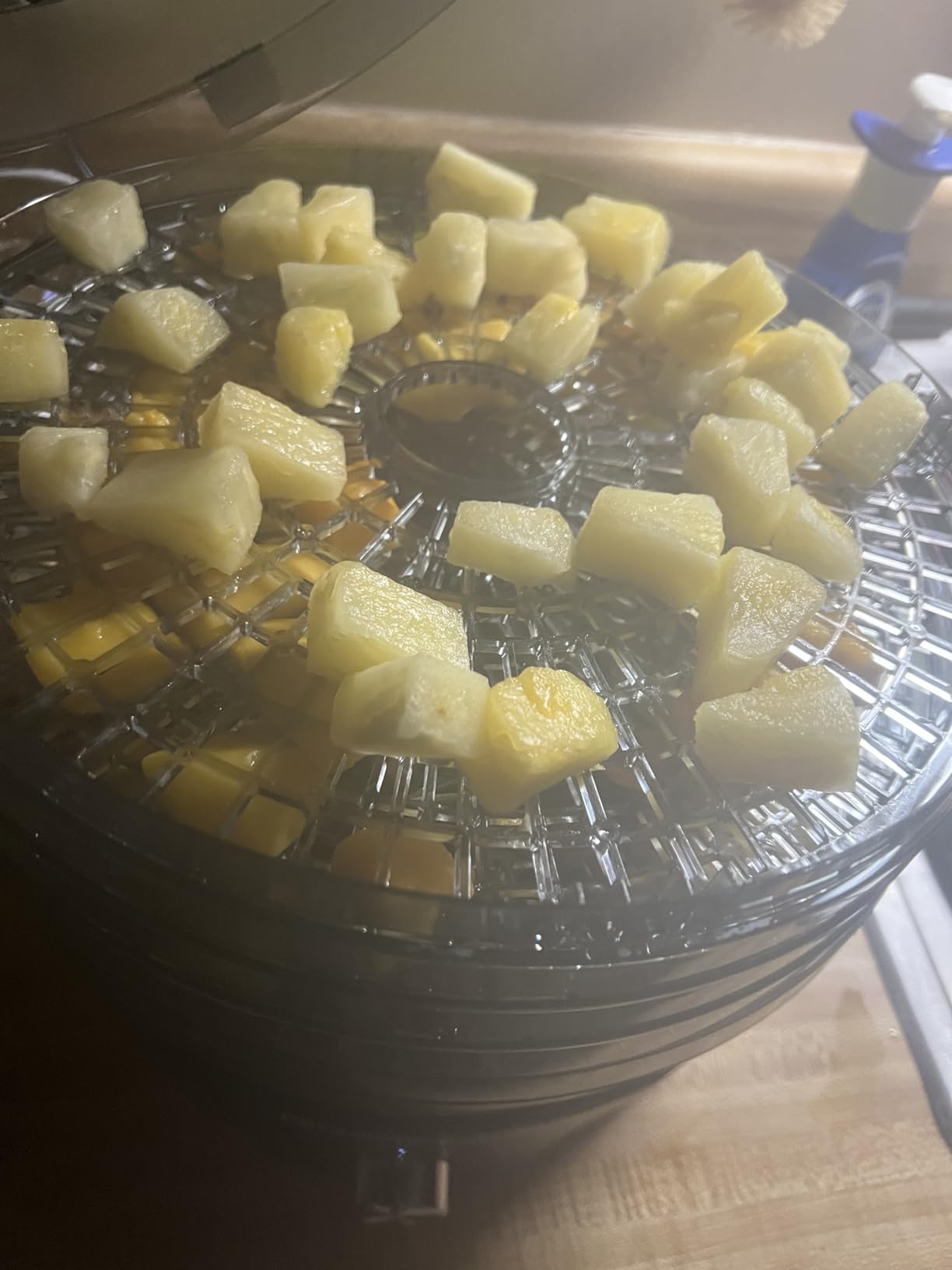 Elite Gourmet Digital Food Dehydrator, 5x12.5
