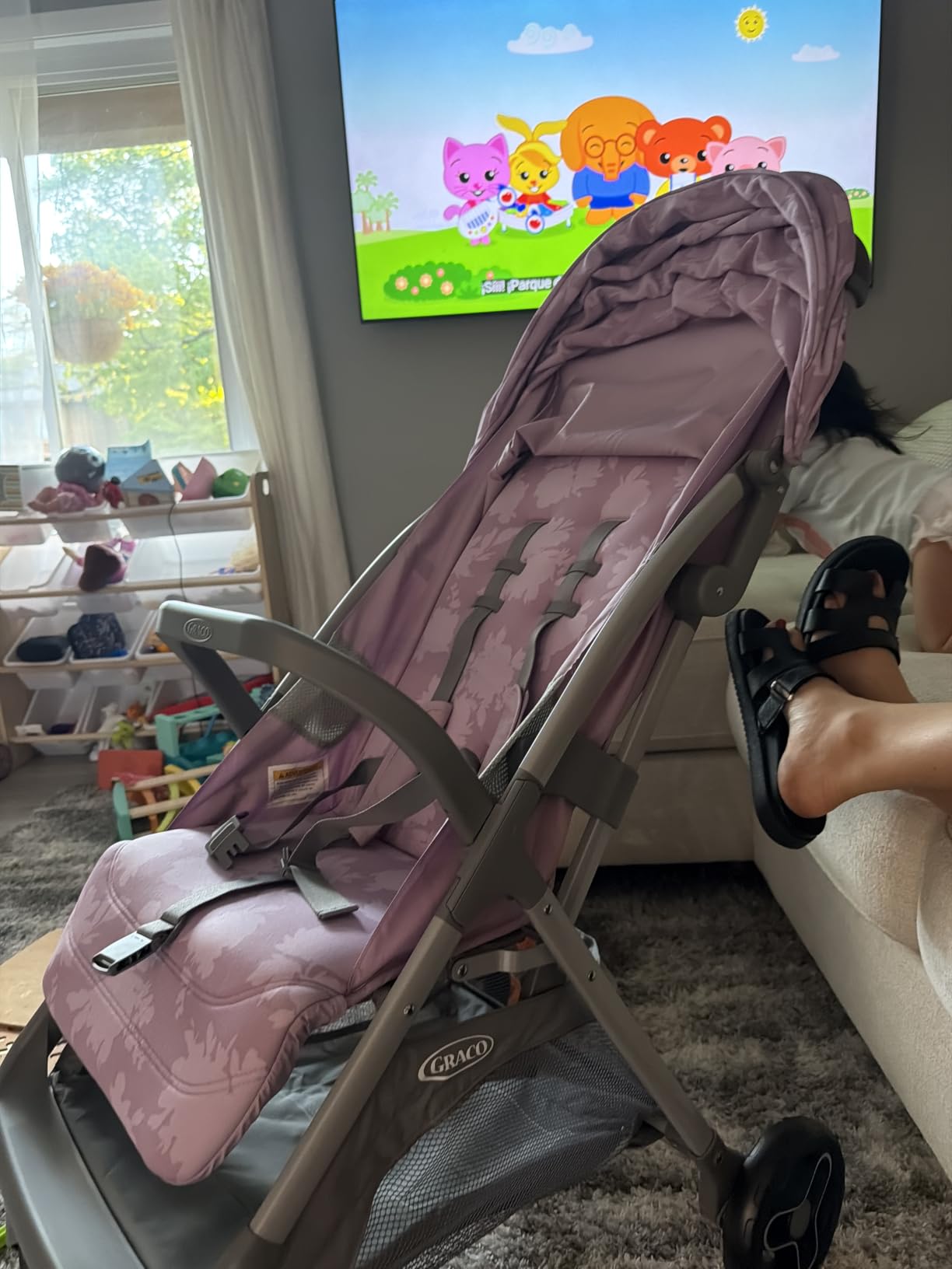 Graco Ready2Jet Lightweight Travel System (Stroller & Car Seat), Haines customer photo 1