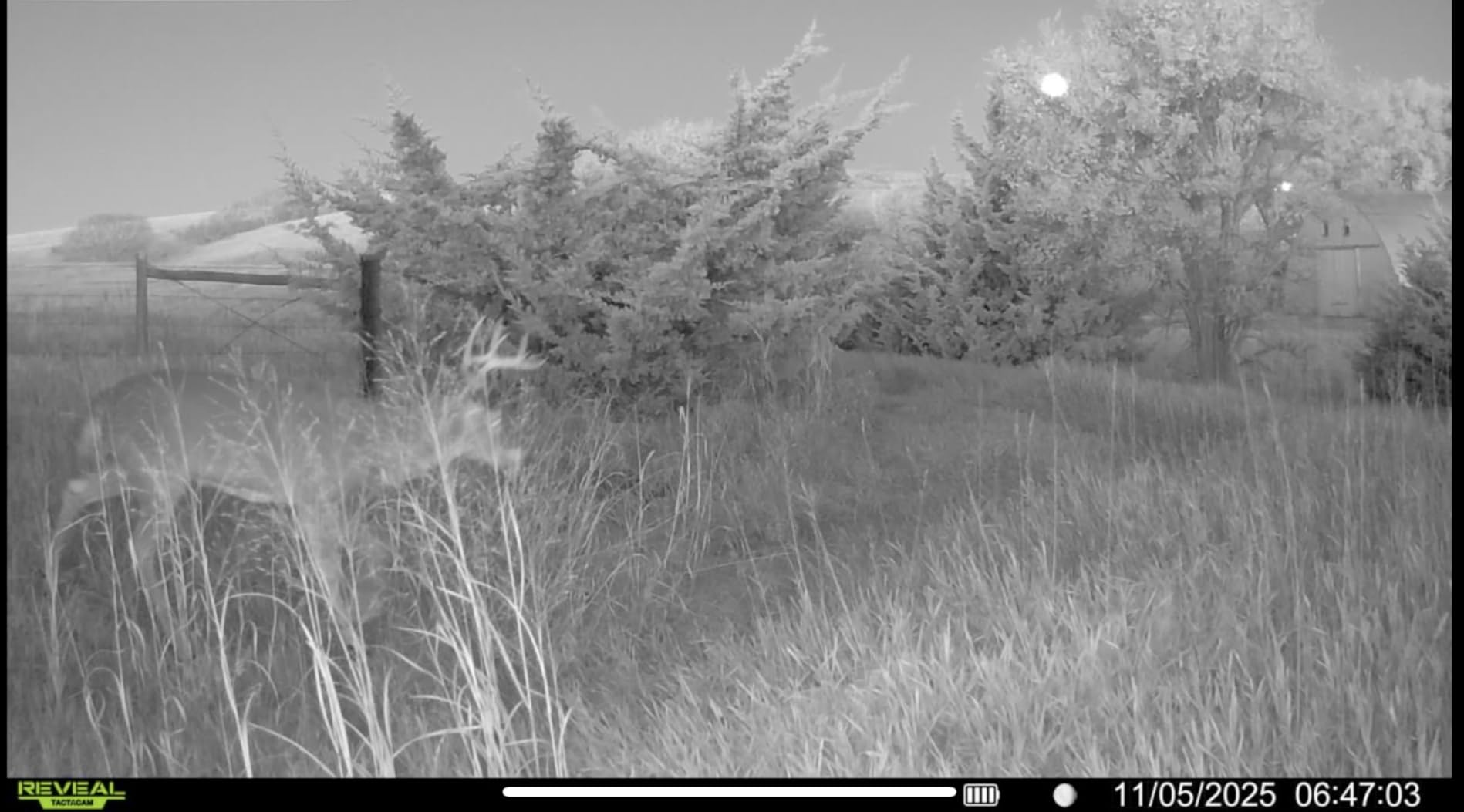 TACTACAM Reveal Pro 3.0 Cellular Trail Camera - Multi-Cellular Network, No-Glow IR, Wi-Fi Enabled, HD Photos & 1080p Videos, Long Battery Life + Solar Panel, Lipo Lithium Battery Pack, & 32GB SD Card customer photo 1