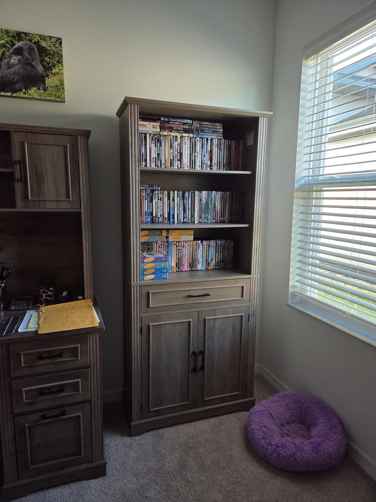 SEDETA Farmhouse Bookshelves and Bookcases with Doors, Drawer, White customer photo 1