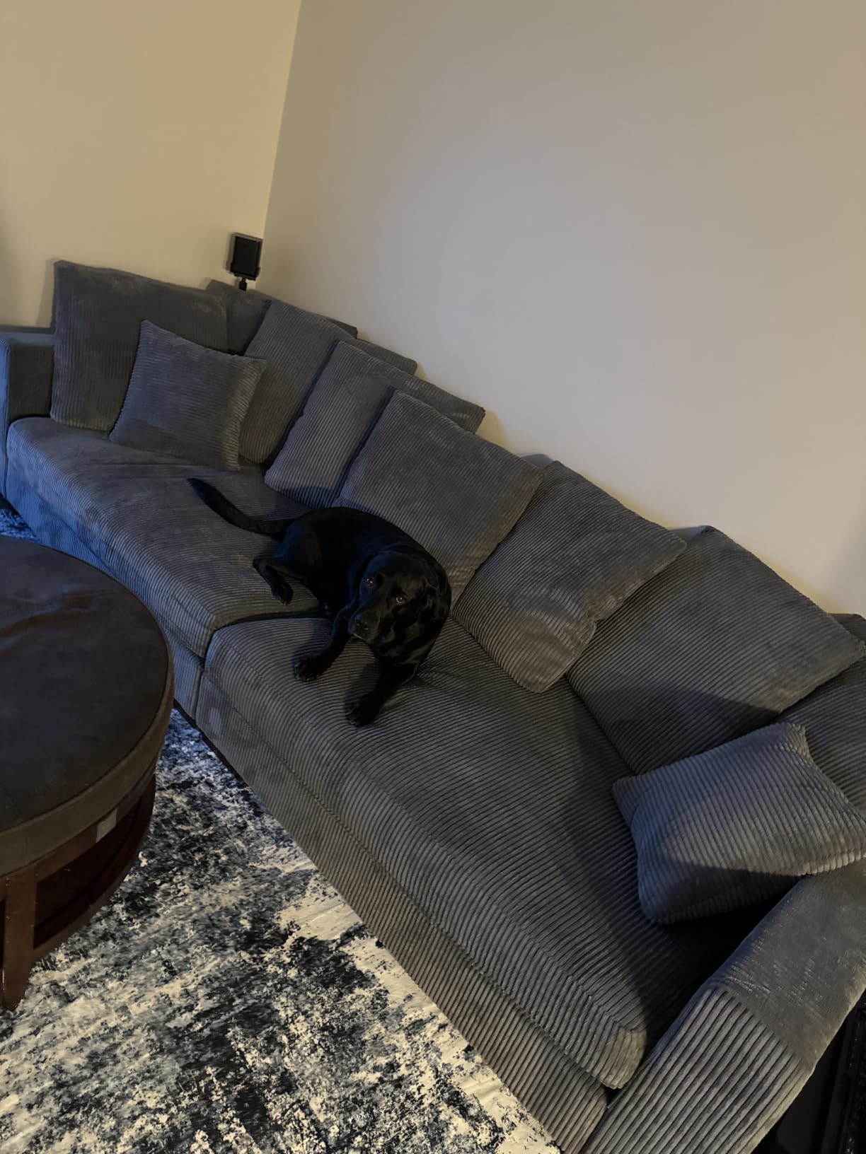 EGOHOME 12-inch customer photo 2