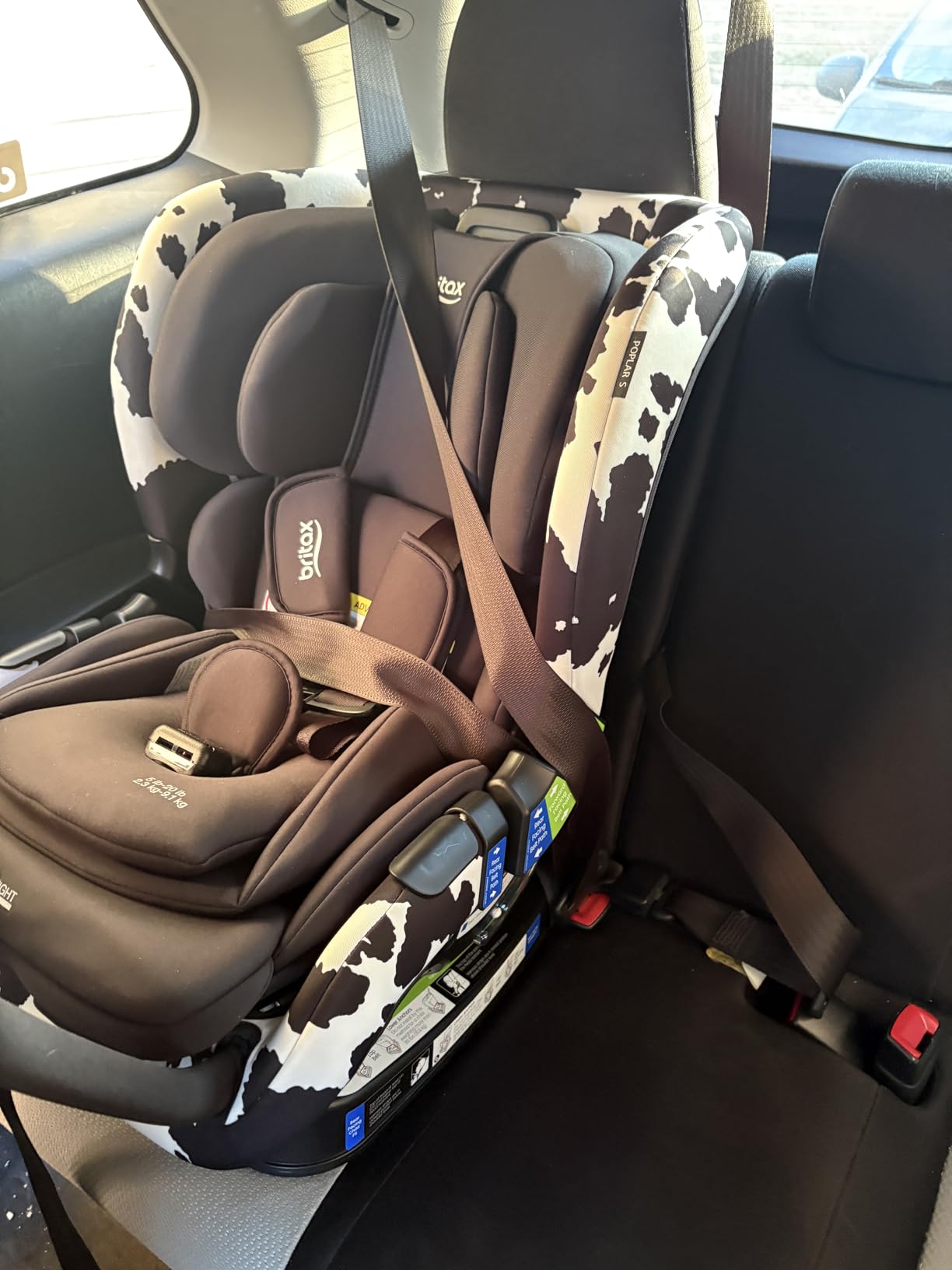 Britax Poplar S Convertible Car Seat, Slim 17” Design — Cowmooflage customer photo 2
