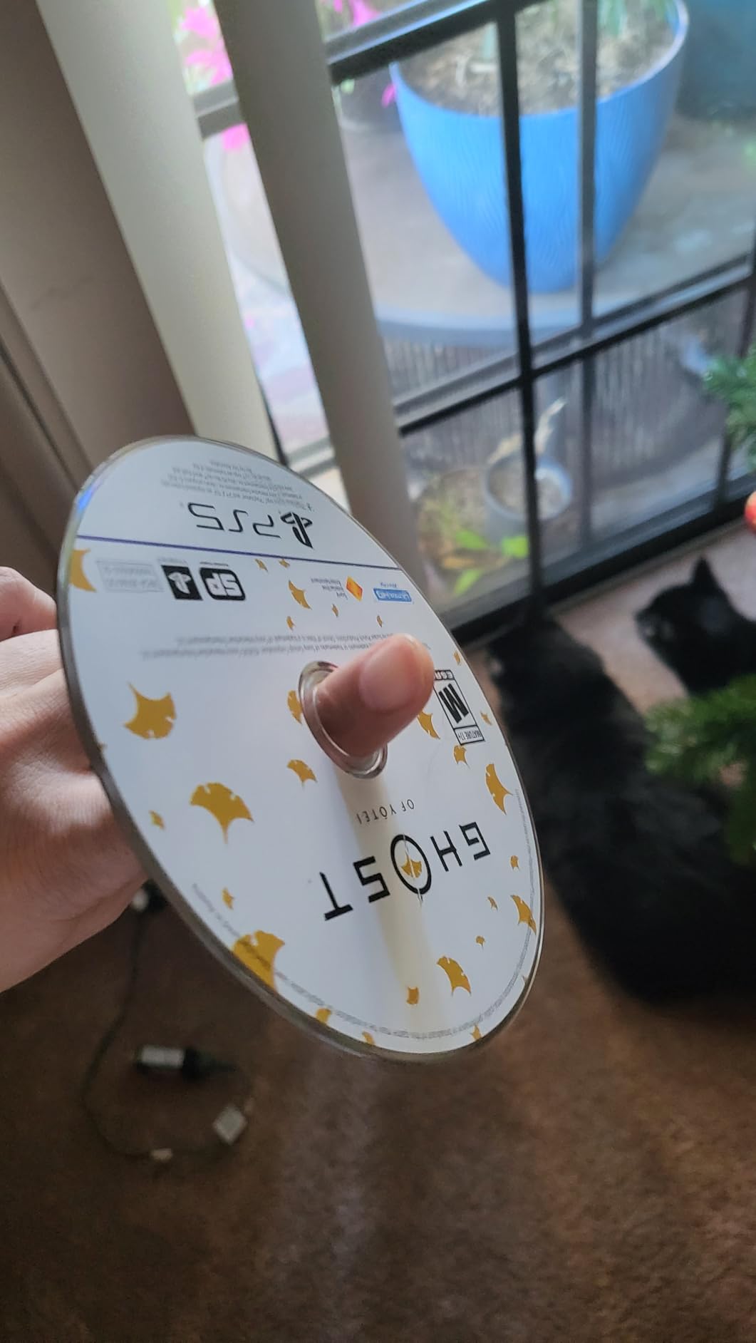 Ghost of Yōtei PS5 customer photo 1