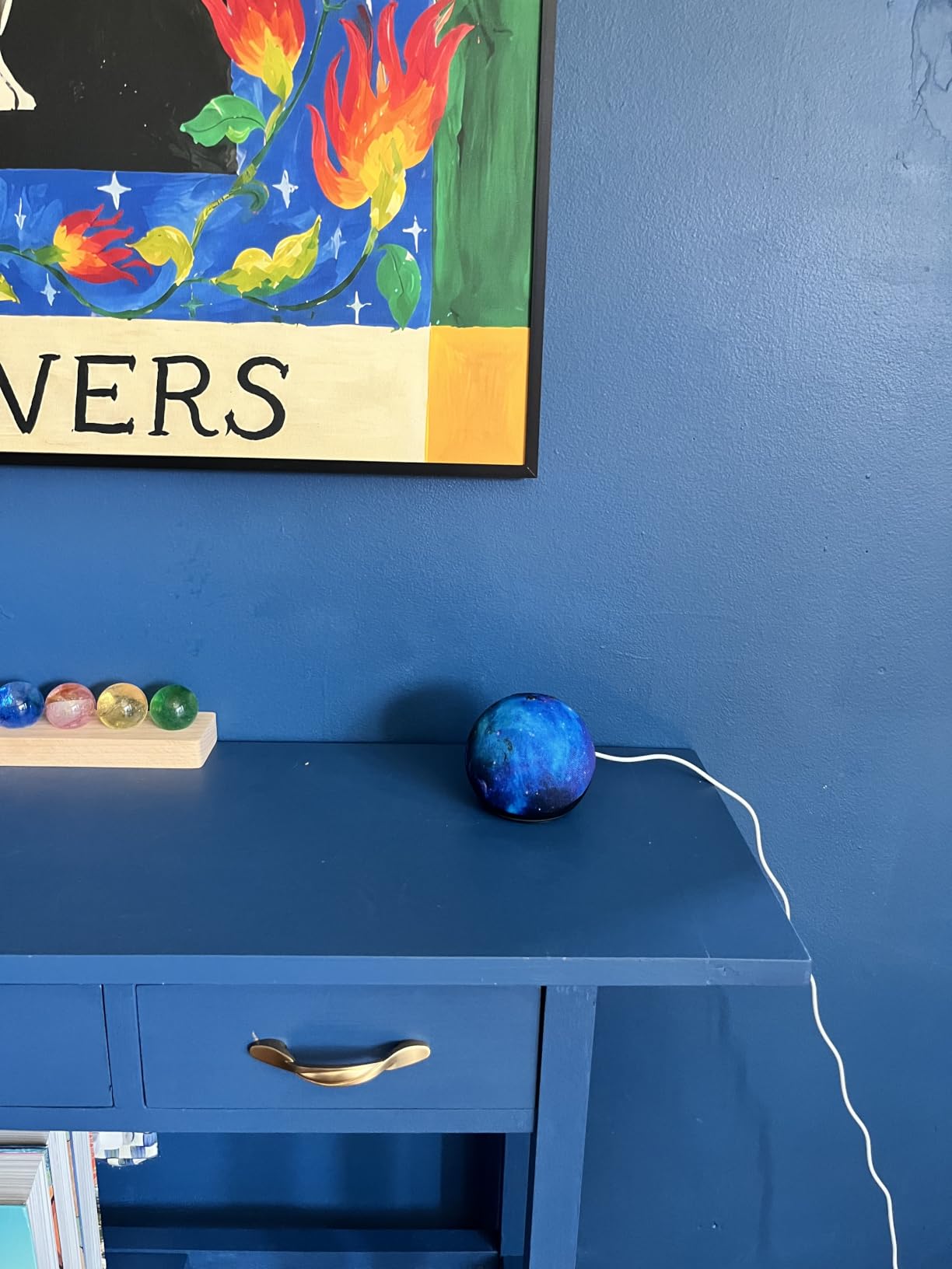 Echo Dot Kids customer photo 2