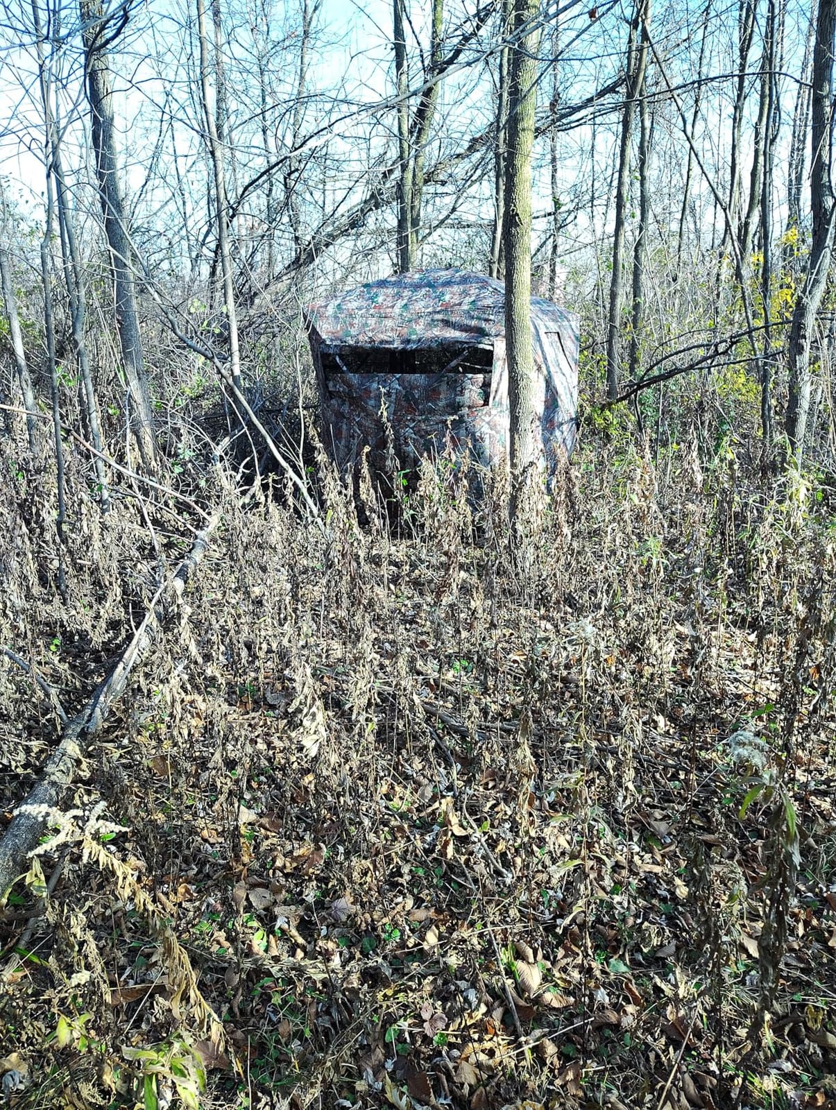 TLC Sport Hunting Blind, 270°/360° See Through Ground Blind for 2-4 Person customer photo 2