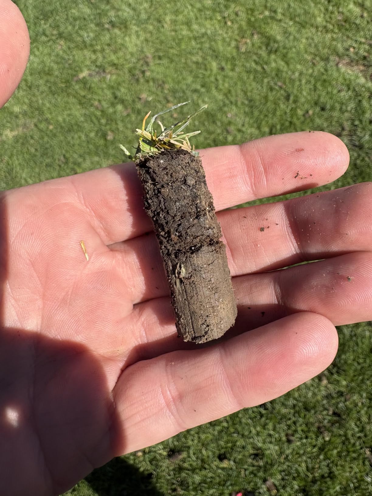 Landzie - Rolling Lawn Aerator, Manual Core Plug Aerator customer photo 1
