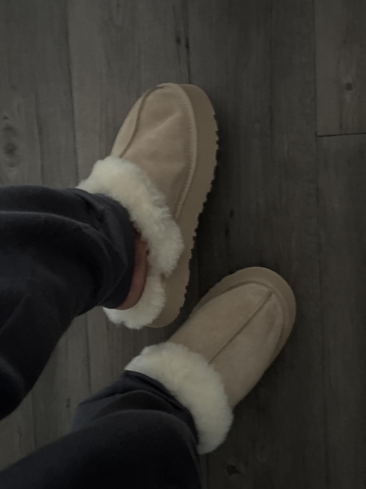 UGG Disquette customer photo 1