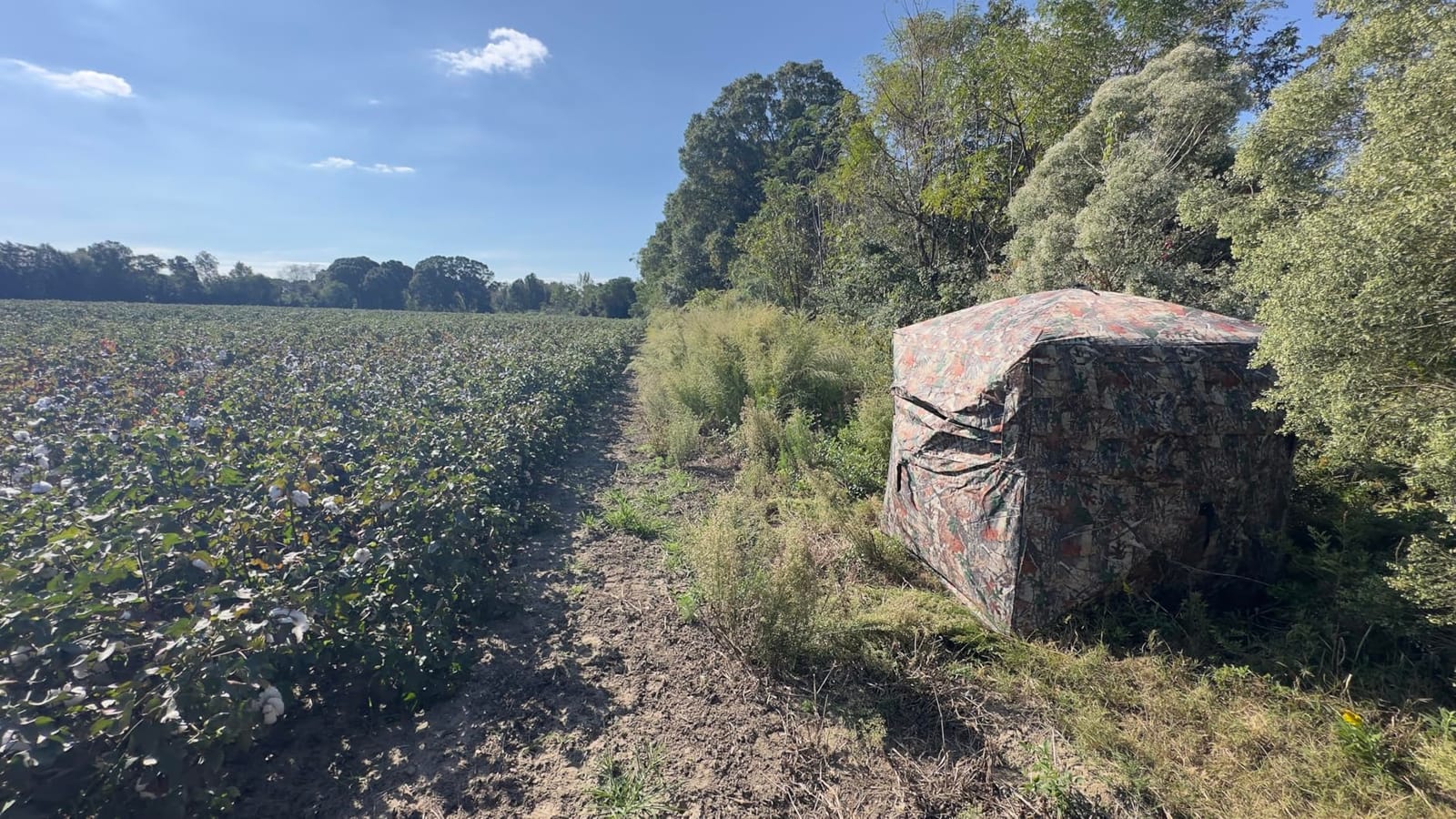 TLC Sport Hunting Blind, 270°/360° See Through Ground Blind for 2-4 Person customer photo 2